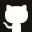 Logo github